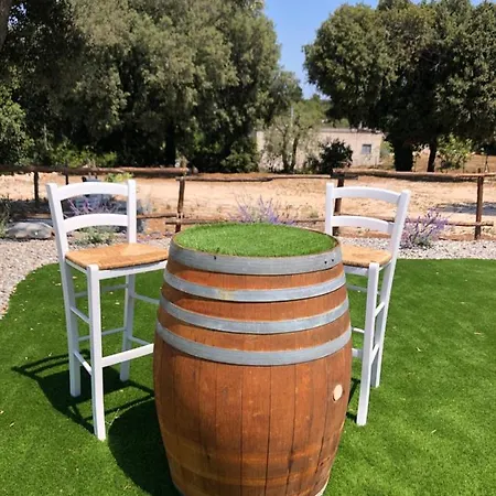 Apartment Il Trullo Bianco