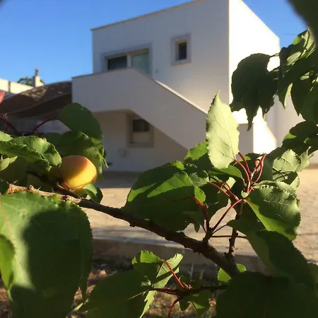 Il Trullo Bianco 아파트 셀바디파사노
